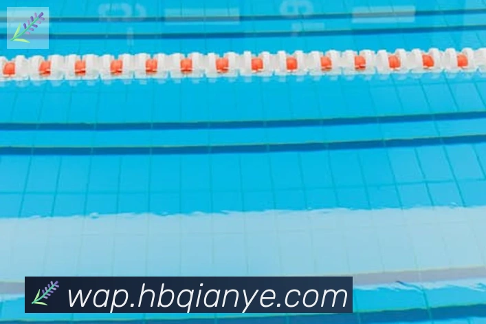 博亚app官网登录入口荣誉